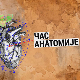 Час анатомије: Само чудо да се деси