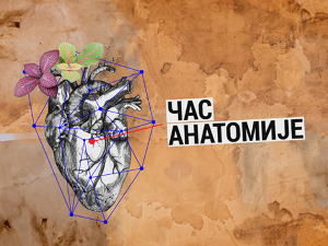Час анатомије: Само чудо да се деси