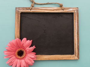 Портрет - Зденка Вучковић