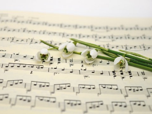 Вокални ансамбли - The Sandpipers