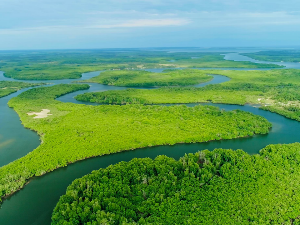 Спасавање раја: Дивљи архипелаг Бижагос, 4-6