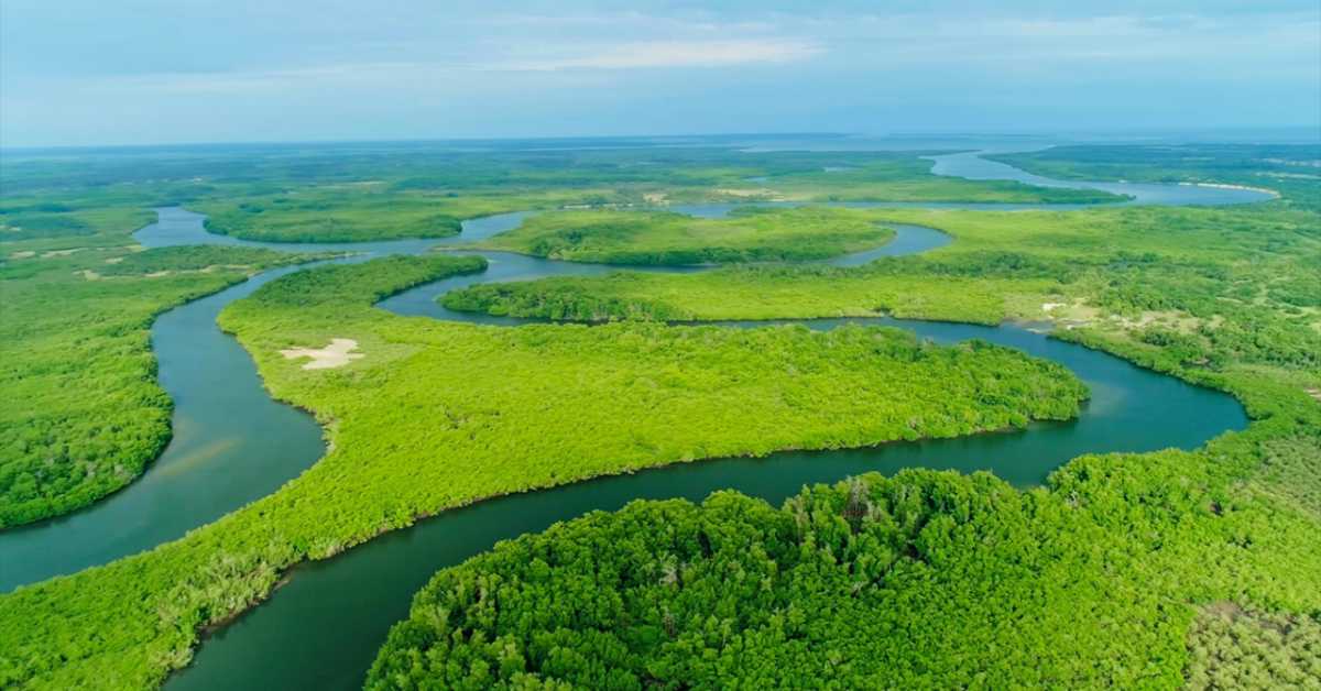 Спасавање раја: Дивљи архипелаг Бижагос, 4-6