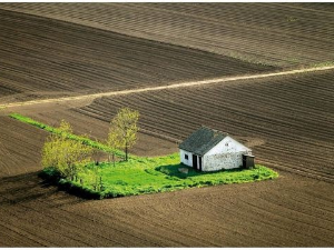 Професионалци - Драгољуб Замуровић - уметник фотографије