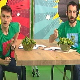 Хемија разбија митове: Спанаћ