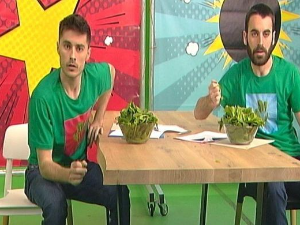Хемија разбија митове: Глутен