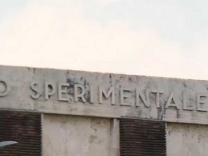 Пут у будућност - У потрази за разлогом слике: Сентиментално васпитање, 4-12