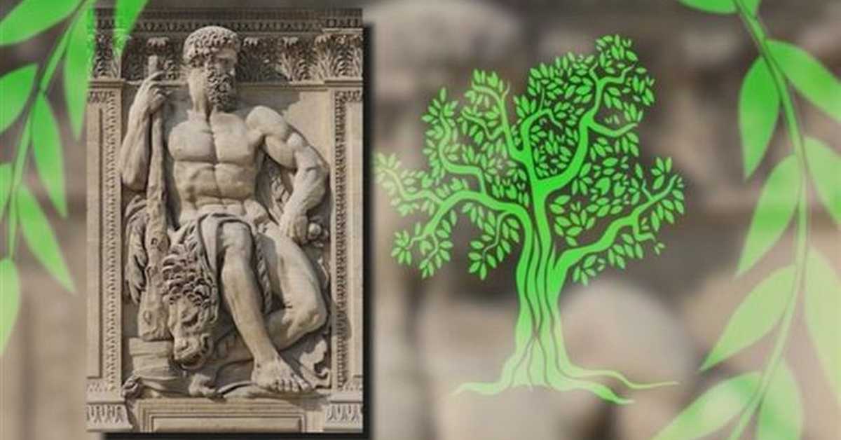  Јестива историја: Маслина, 3-10