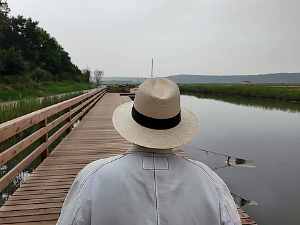 О љубави и гађењу