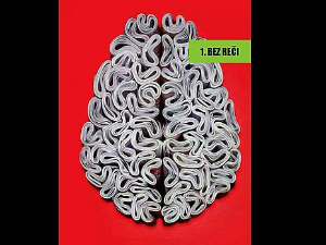 О љубави и гађењу