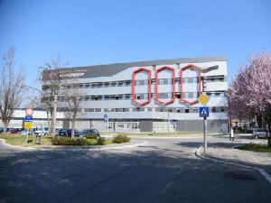 УКЦВ: Дисциплински поступак против возача који је прегазио пса на протесту у Новом Саду