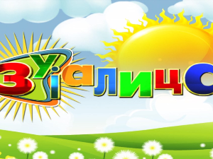 Зујалица	ц.10 ем.31