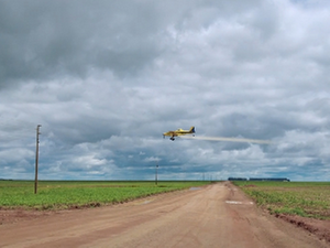 Пестициди и европско лицемерје