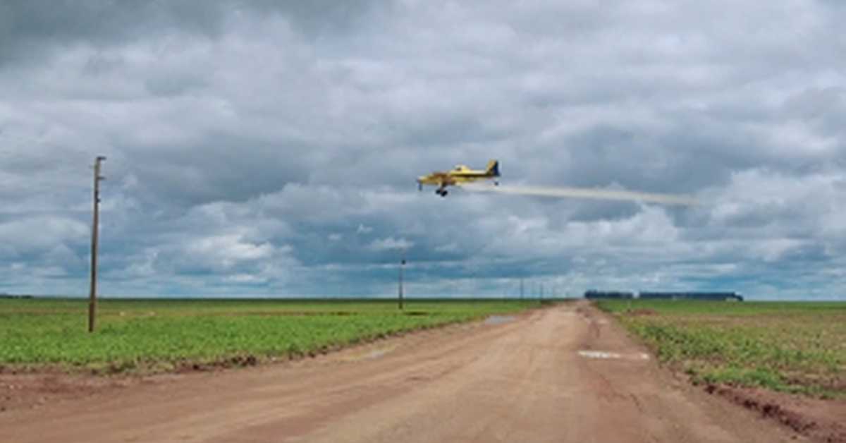 Пестициди и европско лицемерје