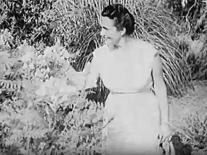 Монотематска емисија-Другарица Јованка