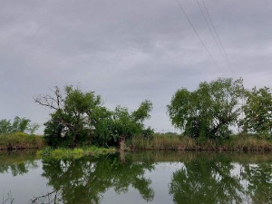 Еко перспективе: Пут до чистих река