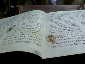 Родославци: Добри Добра Ружић