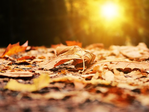 Сунце се не предаје, данас и до 26 степени