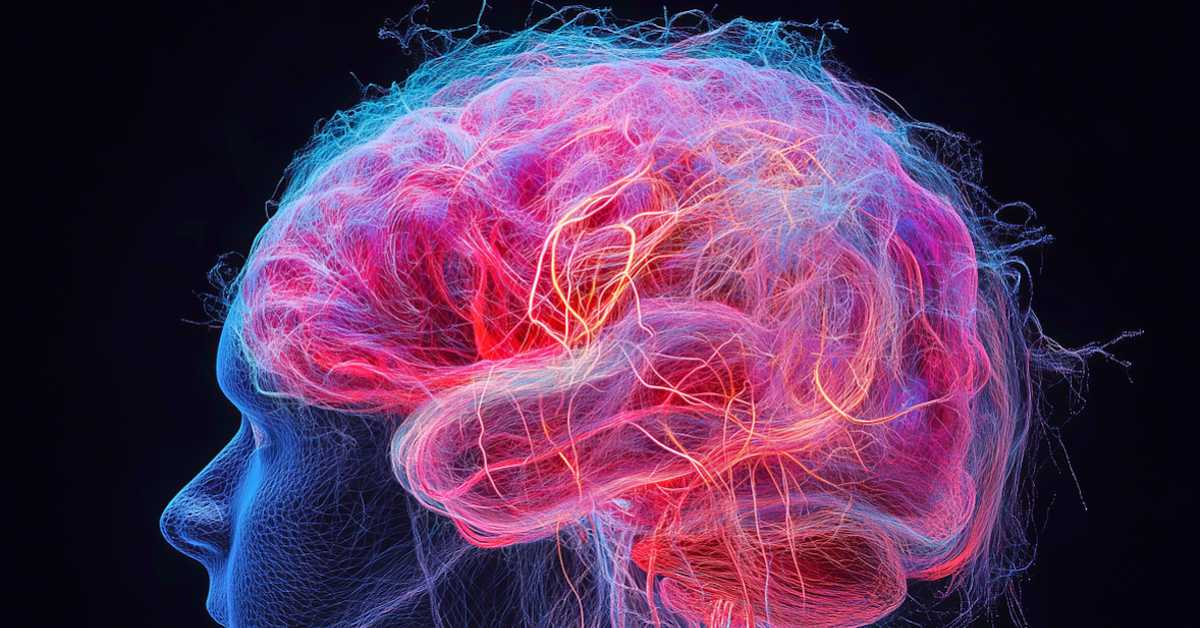 Када мозак достиже врхунац  у зрелости, емпатији, памети... у својим функцијама (piksabej) Када мозак достиже врхунац  у зрелости, емпатији, памети... у својим функцијама