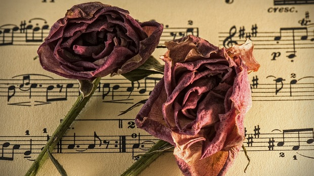 Арс сонора: Преглед музичке недеље 