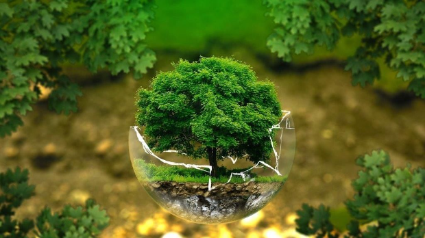 Еду глобал, 270. еп.