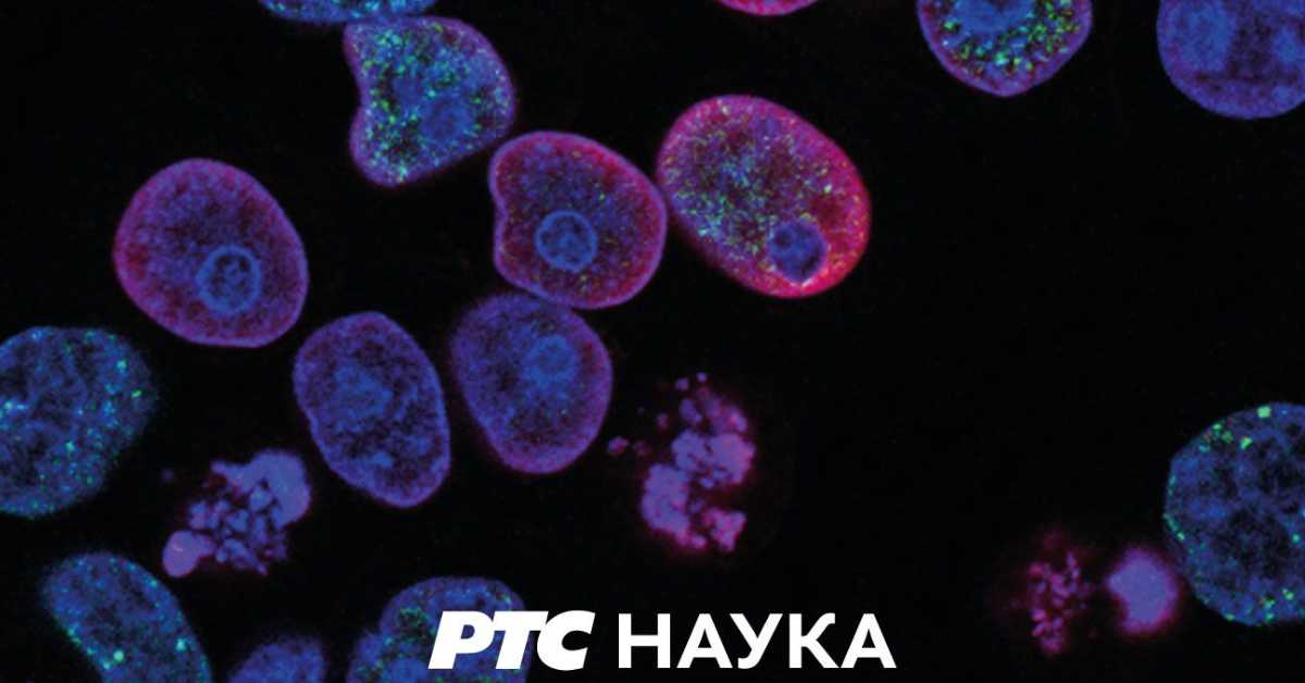 Приђи ближе: Погоди ко долази на ручак, 13. еп.