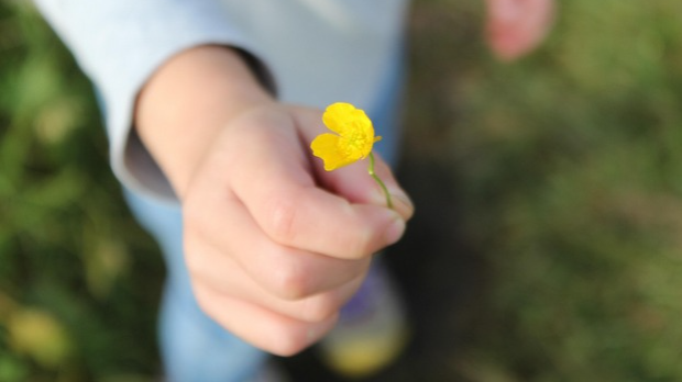 Ухвати дан: Светски дан љубазности
