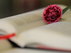  Тајни роман Горана Гроловића и Два лица еманципације