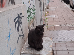 Јутарњи викенд програм