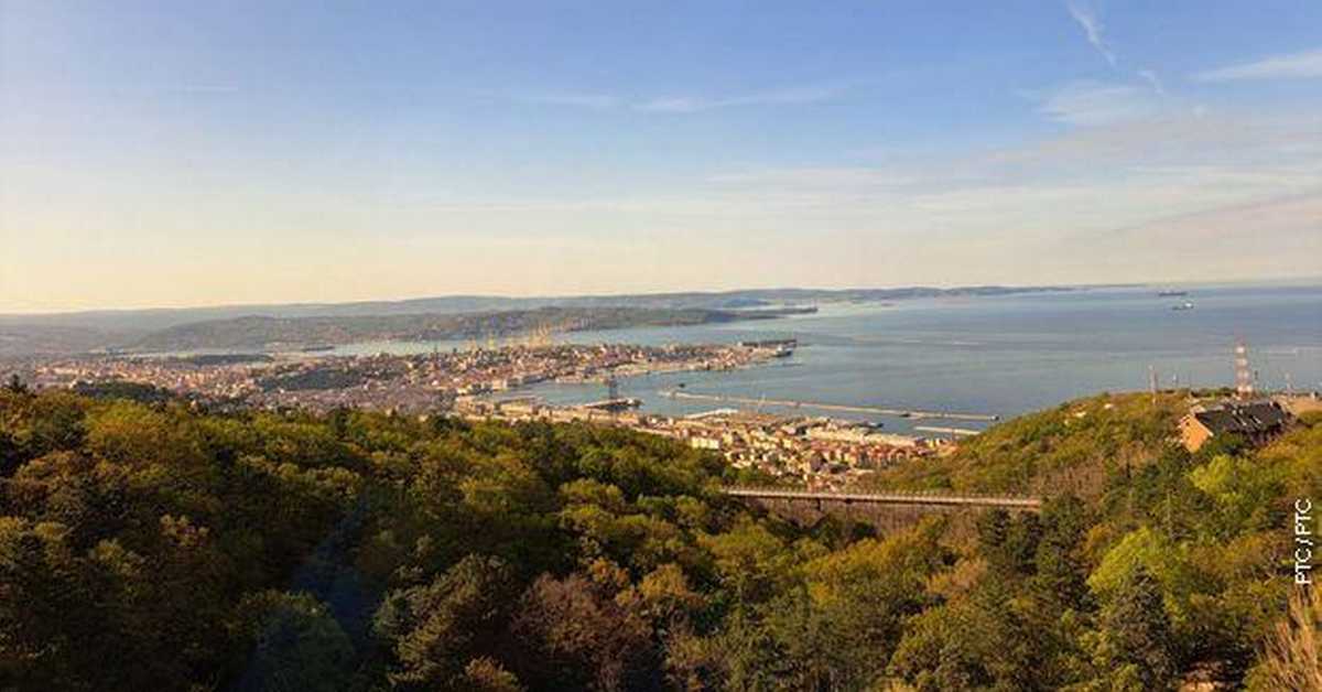 Водич кроз будућност: Трст – град науке и иновација