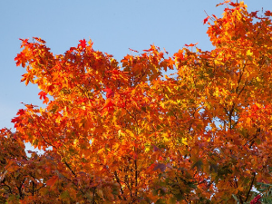 Претежно сунчано и топло, температура до 22 степена