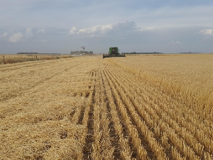 Неопходно прилагођавање пољопривреде на климатске промене