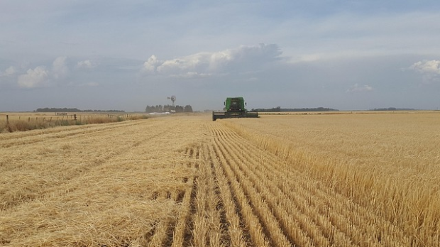 Магазин на Првом: Неопходно прилагођавање пољопривреде на климатске промене