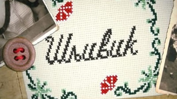 Шљивик, 3. циклус