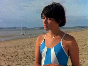 Полин на плажи