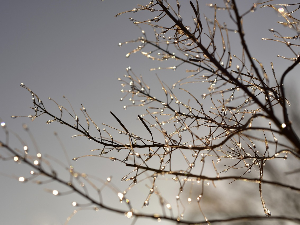 Снег и ледена киша у Србији, викенд без падавина