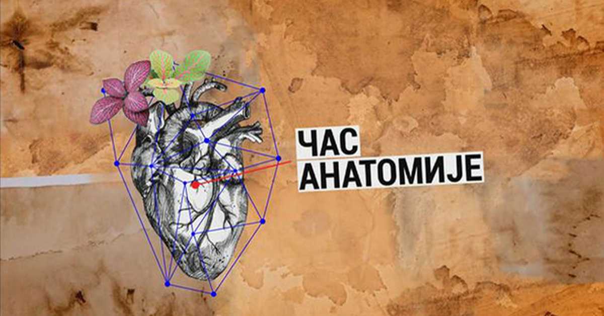 Час анатомије: Културна јавност