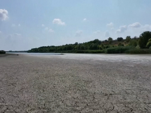 Светски дан климатских промена: Који сектори у Србији су најугроженији 