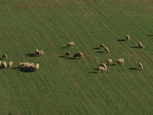 Хидроакумулација Стубо- Ровни још увек без пијаће воде 