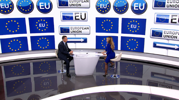 Бриселски скуп и европске интеграције – Зечевић о значају нових чланица и кластеру 3