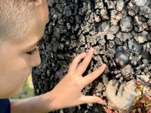 Еко минијатуре: Зоофобија