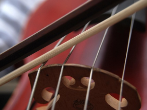 Концерт Јохана Ванхала ‒ „нешто најближе Моцарту” у литератури за контрабас