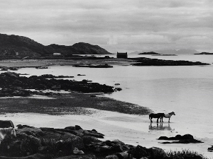 Фотографија и скулптура у дијалогу времена – две изложбе у част 60 година Музеја савремене уметности