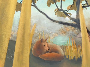 Како пробудити меду?