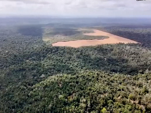Шуме су и даље под великим притиском, еколошке групе позивају на озбиљност и заштиту