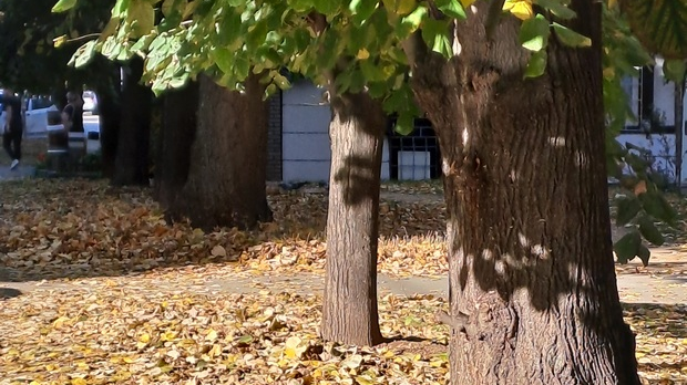 Нови дан: Јутарњи викенд програм