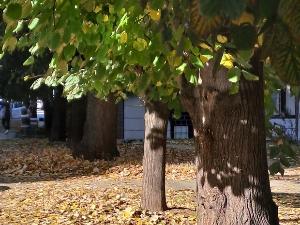 Јутарњи викенд програм