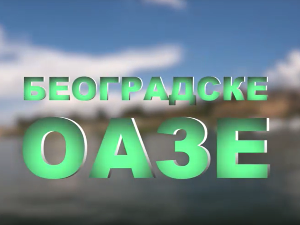 Београдске оазе-Ада Међица