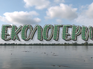 Екологери: Аранђеловац, Ана Драговић Дрљевић