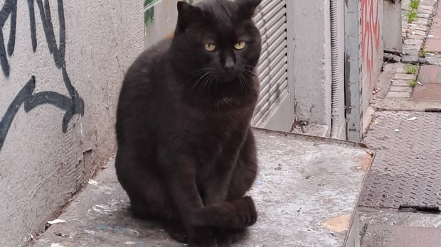 Јутарњи викенд програм