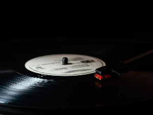 Винил – „Дано, Данче, волиш ли Миланче“ 